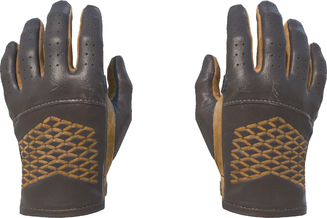 ★ Driver Gloves | Overtake