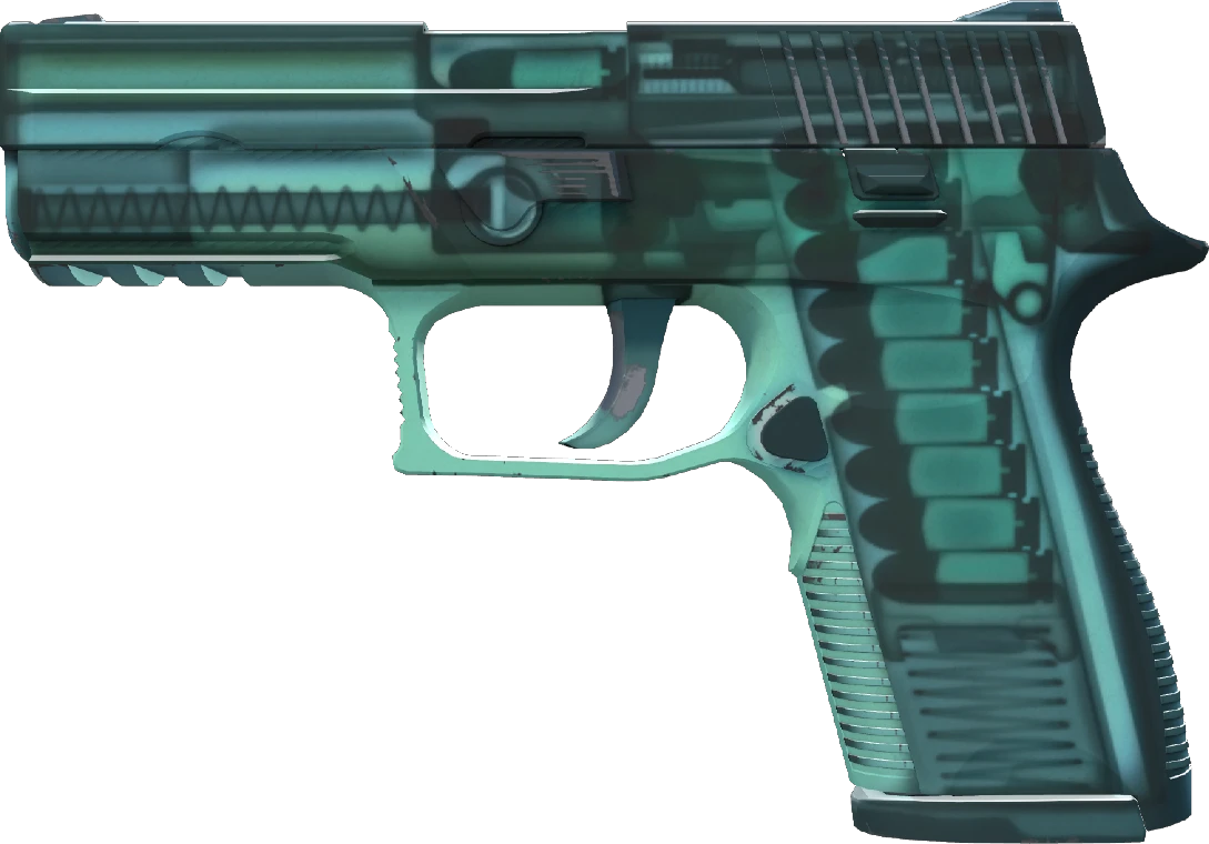 P250 | X-Ray