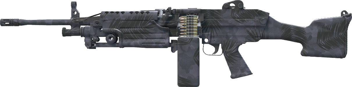 M249 | Midnight Palm
