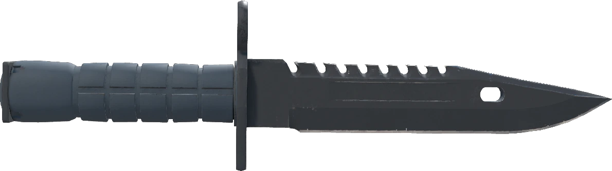 ★ M9 Bayonet | Night