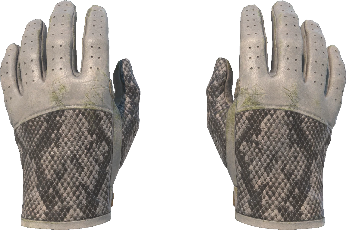 ★ Driver Gloves | King Snake