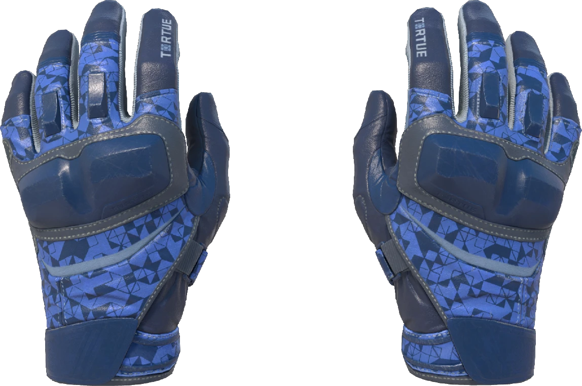 ★ Moto Gloves | Polygon