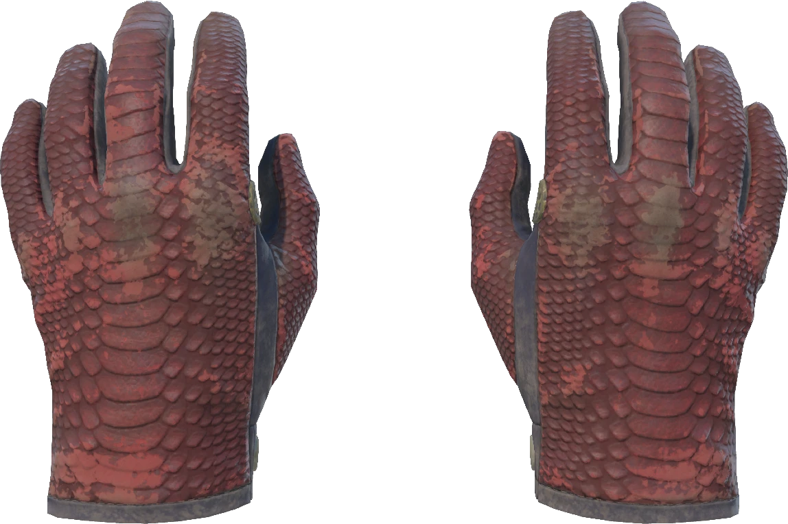 ★ Driver Gloves | Dragon Fists