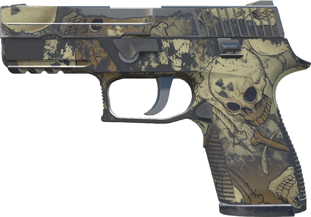 P250 | Contamination