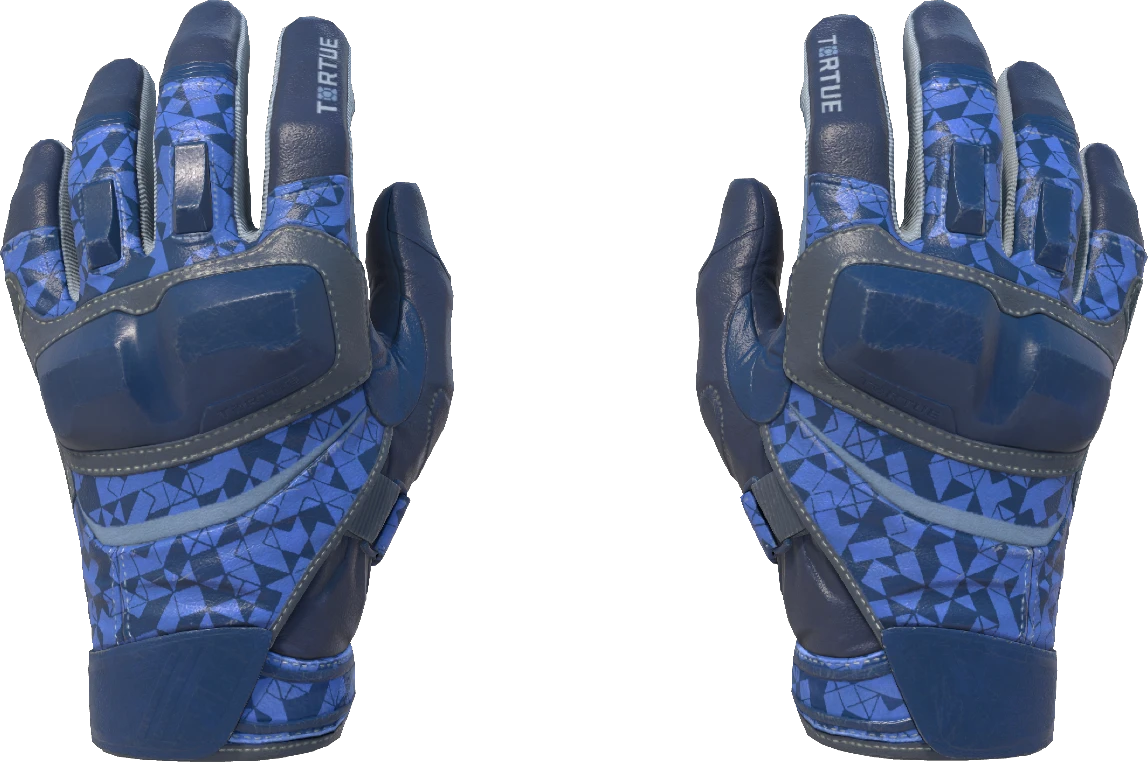 ★ Moto Gloves | Polygon