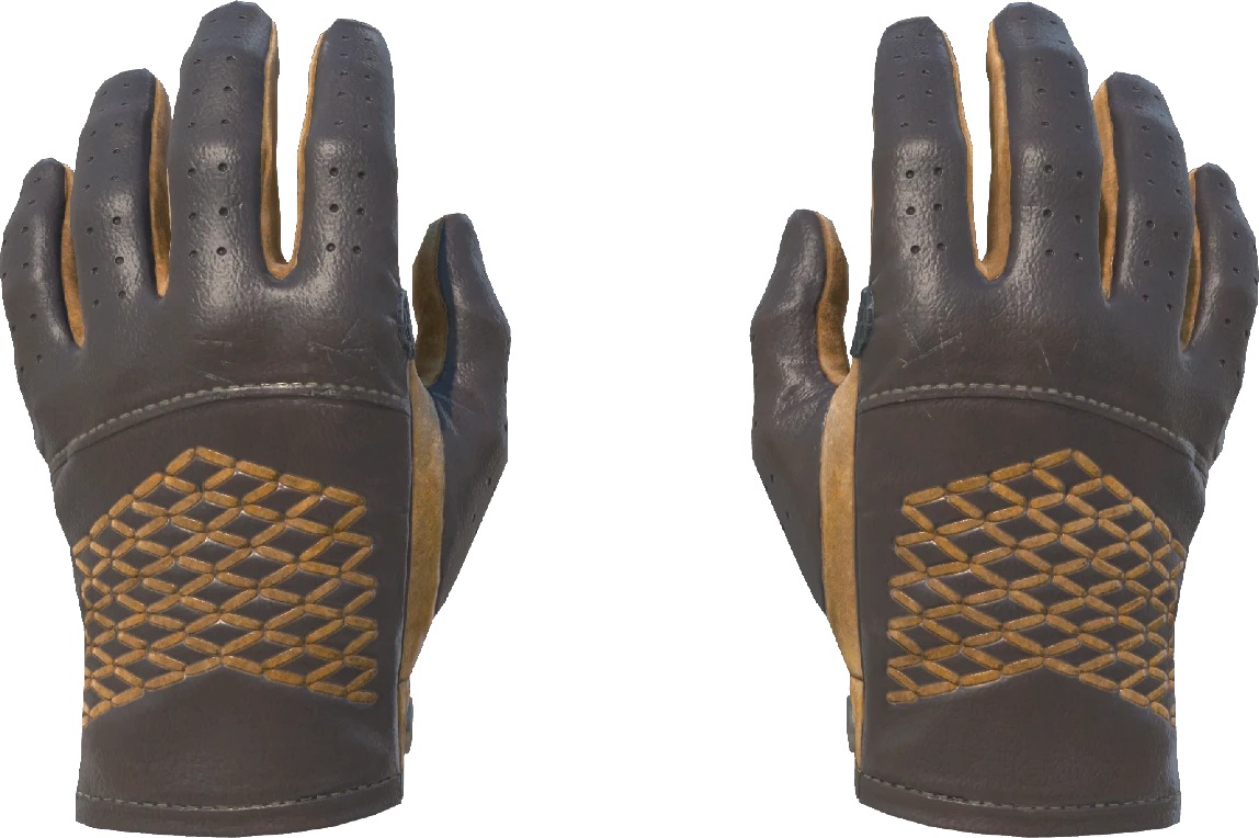 ★ Driver Gloves | Overtake