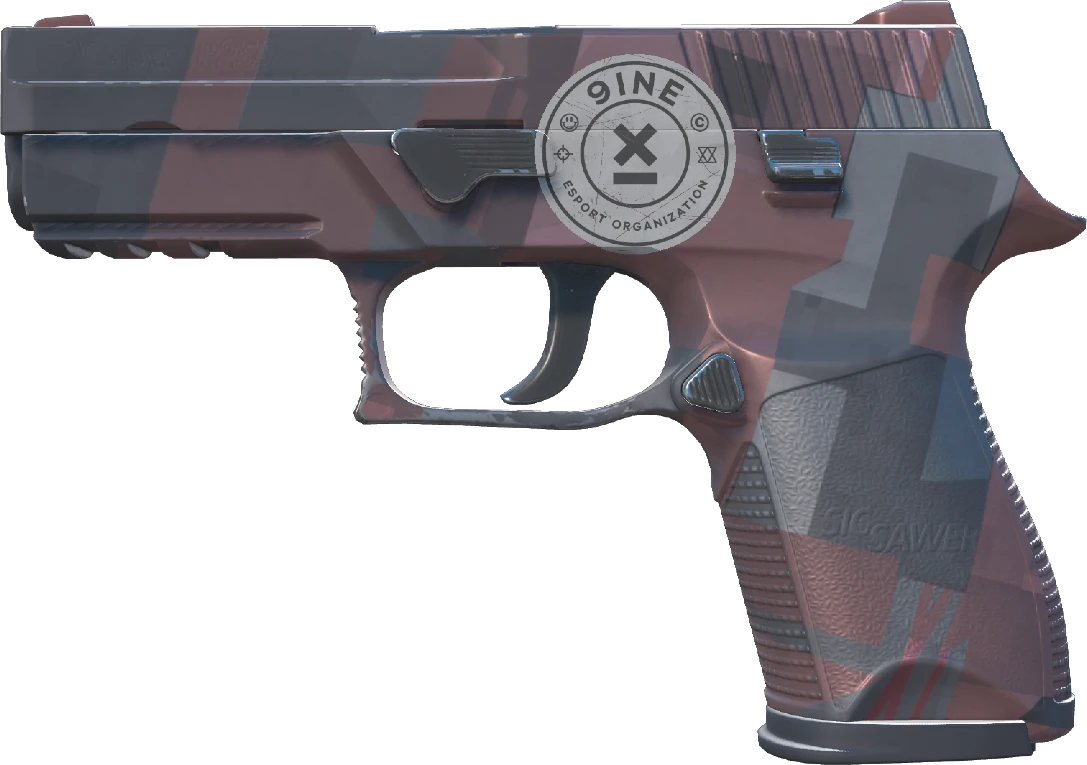 P250 | Constructivist