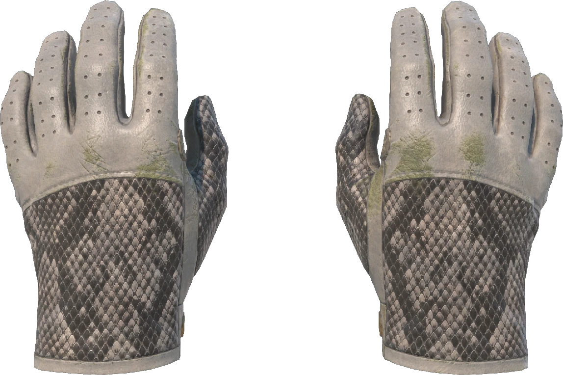★ Driver Gloves | King Snake