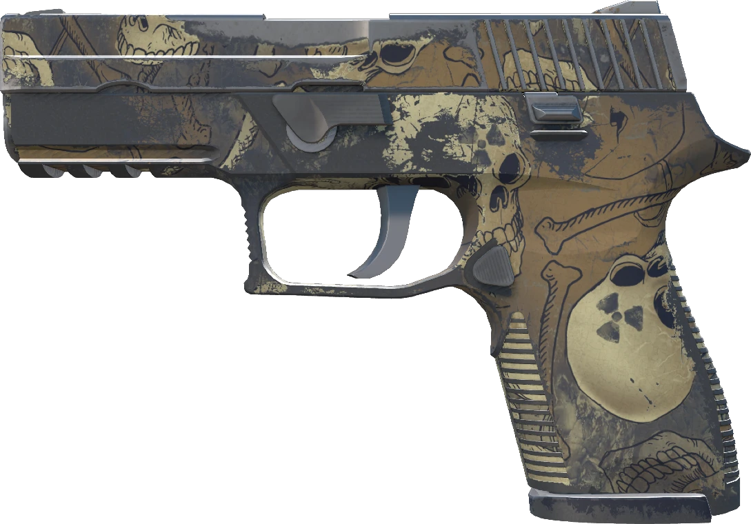P250 | Contamination