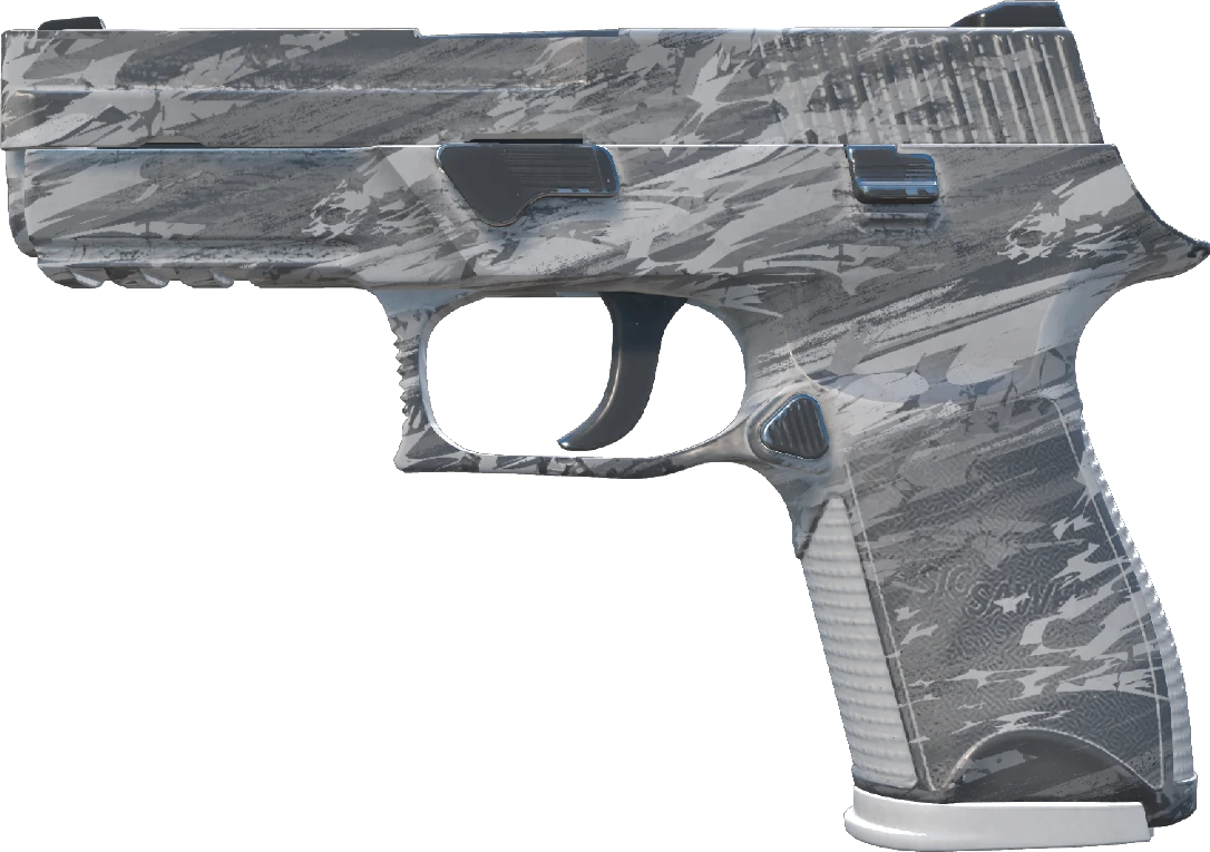 P250 | Sleet