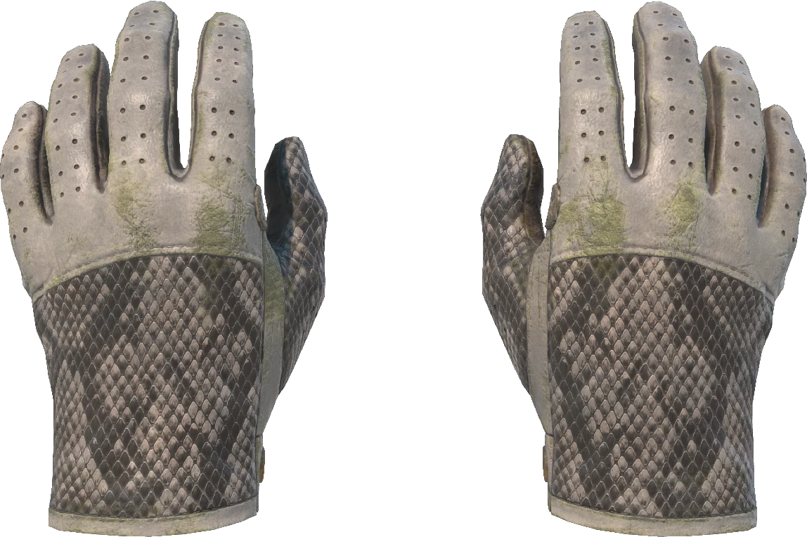 ★ Driver Gloves | King Snake