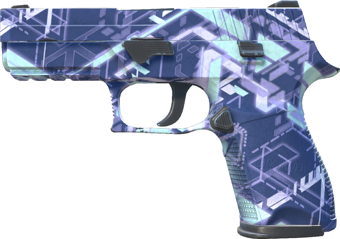 P250 | Digital Architect