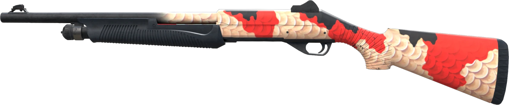 Nova | Koi