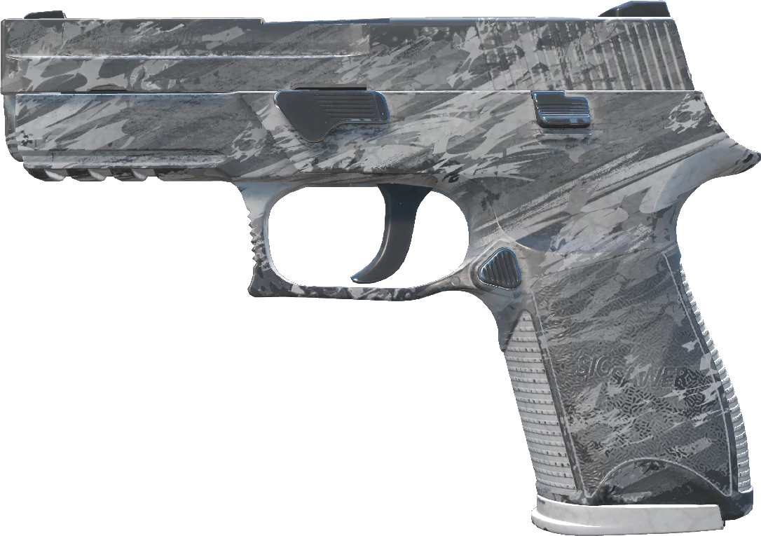P250 | Sleet