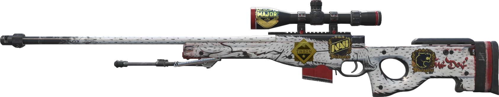 AWP | LongDog