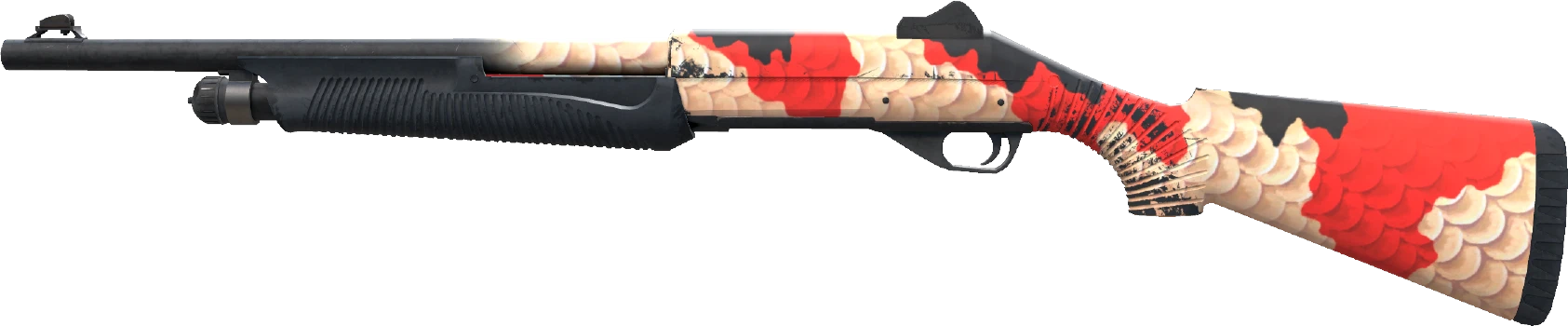 Nova | Koi