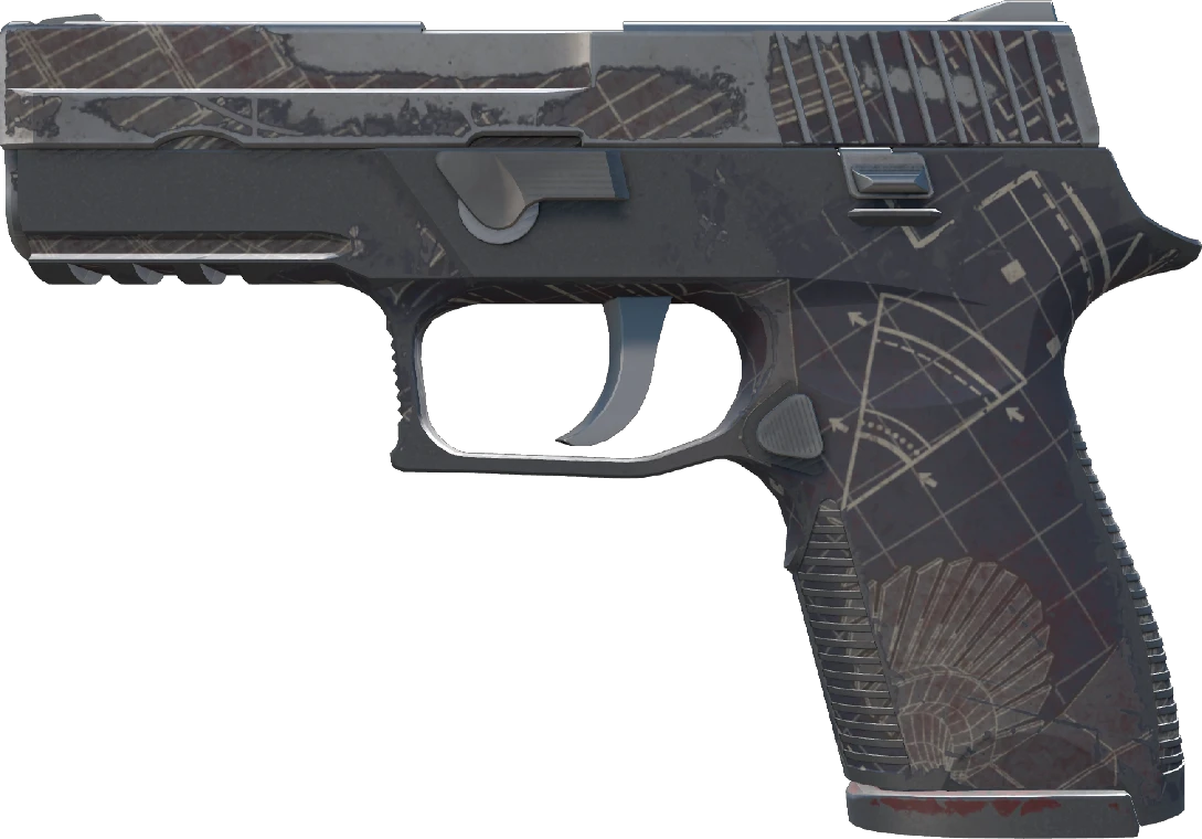 P250 | Facility Draft