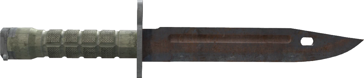 ★ Bayonet | Rust Coat