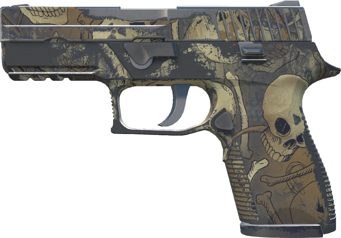 P250 | Contamination