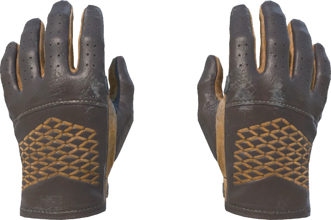 ★ Driver Gloves | Overtake