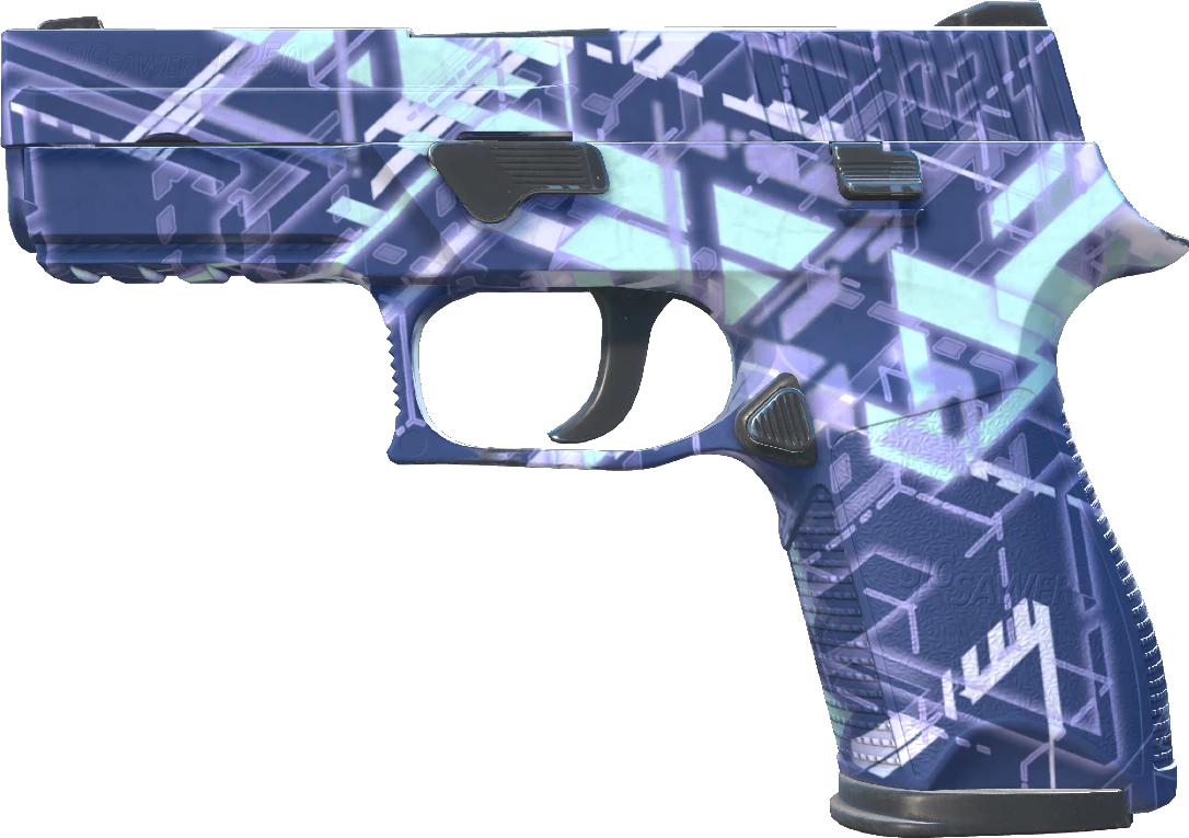 P250 | Digital Architect
