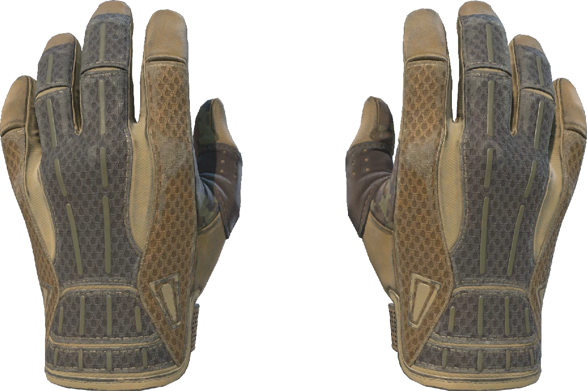 ★ Sport Gloves | Arid