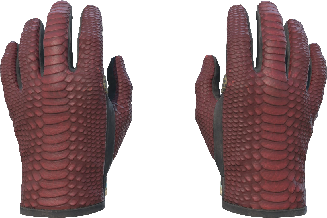 ★ Driver Gloves | Dragon Fists