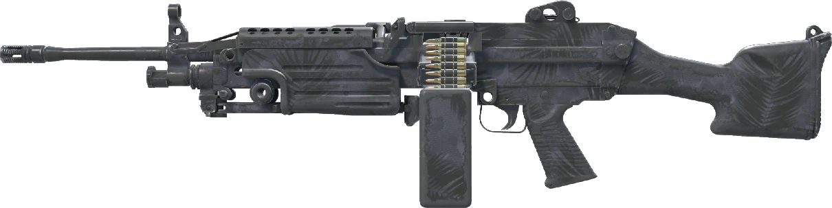 M249 | Midnight Palm
