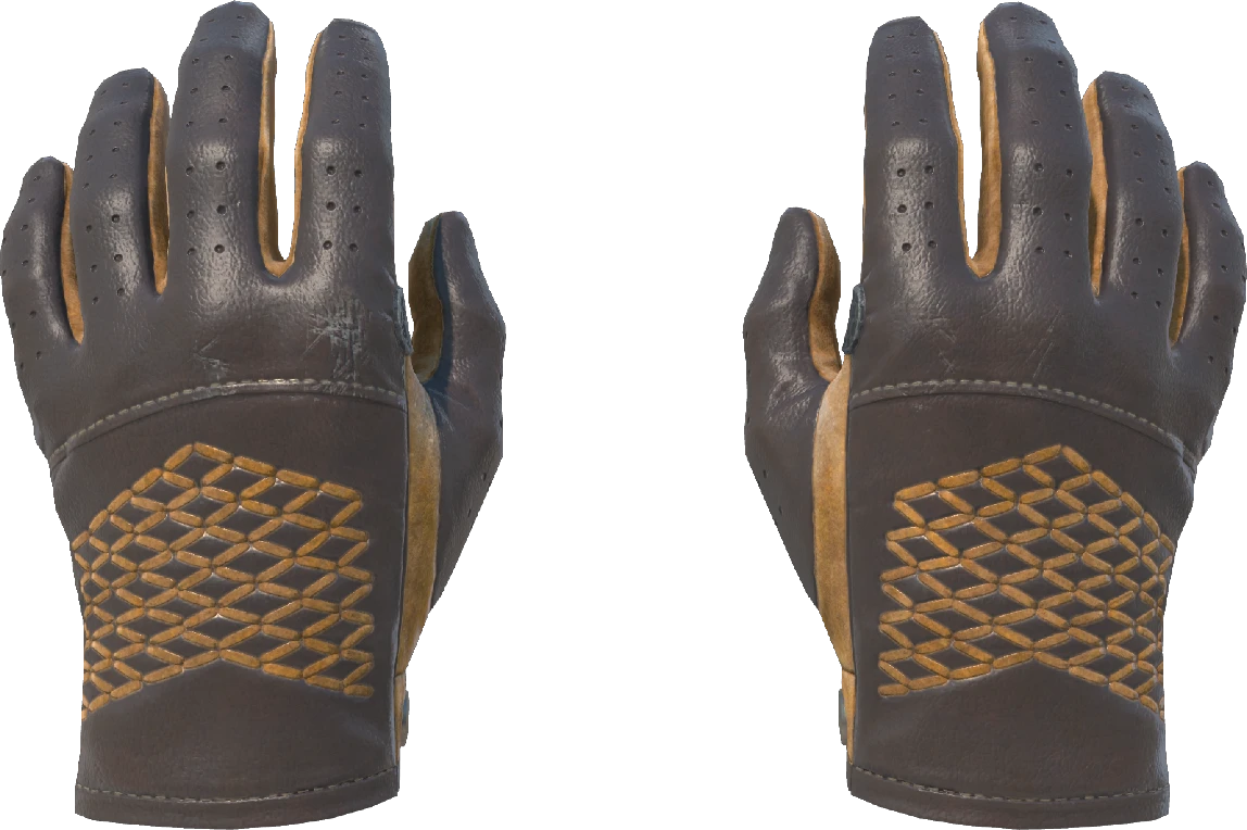 ★ Driver Gloves | Overtake