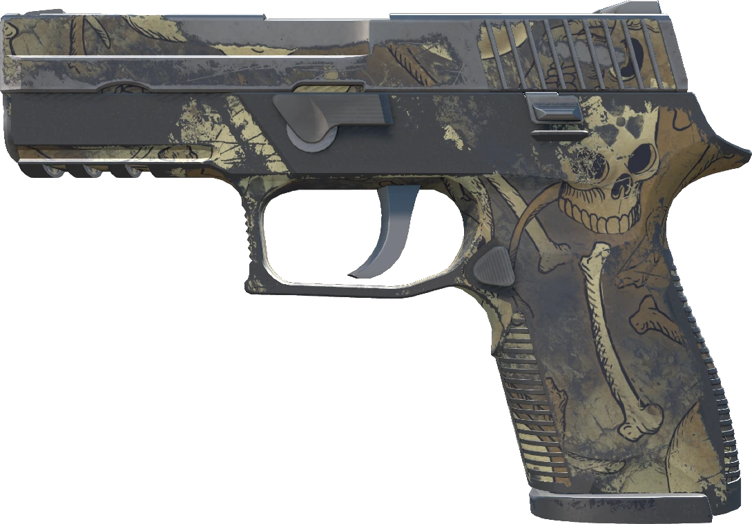 P250 | Contamination