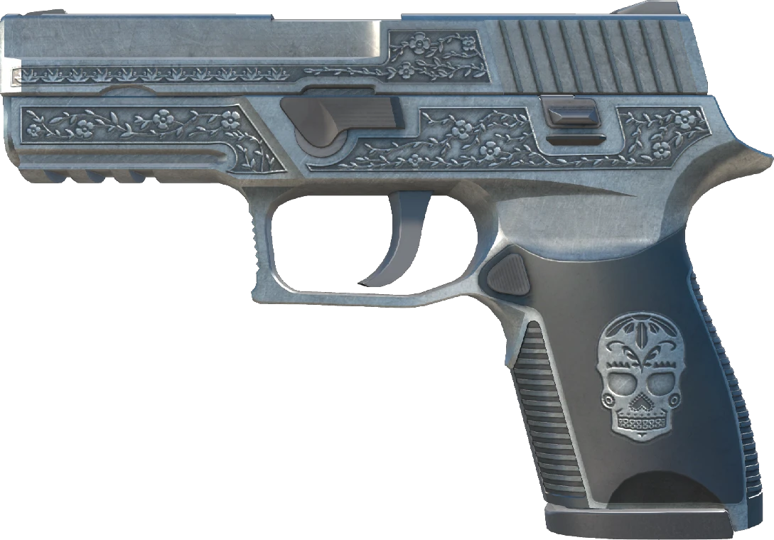P250 | Cartel