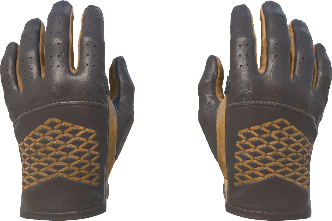 ★ Driver Gloves | Overtake
