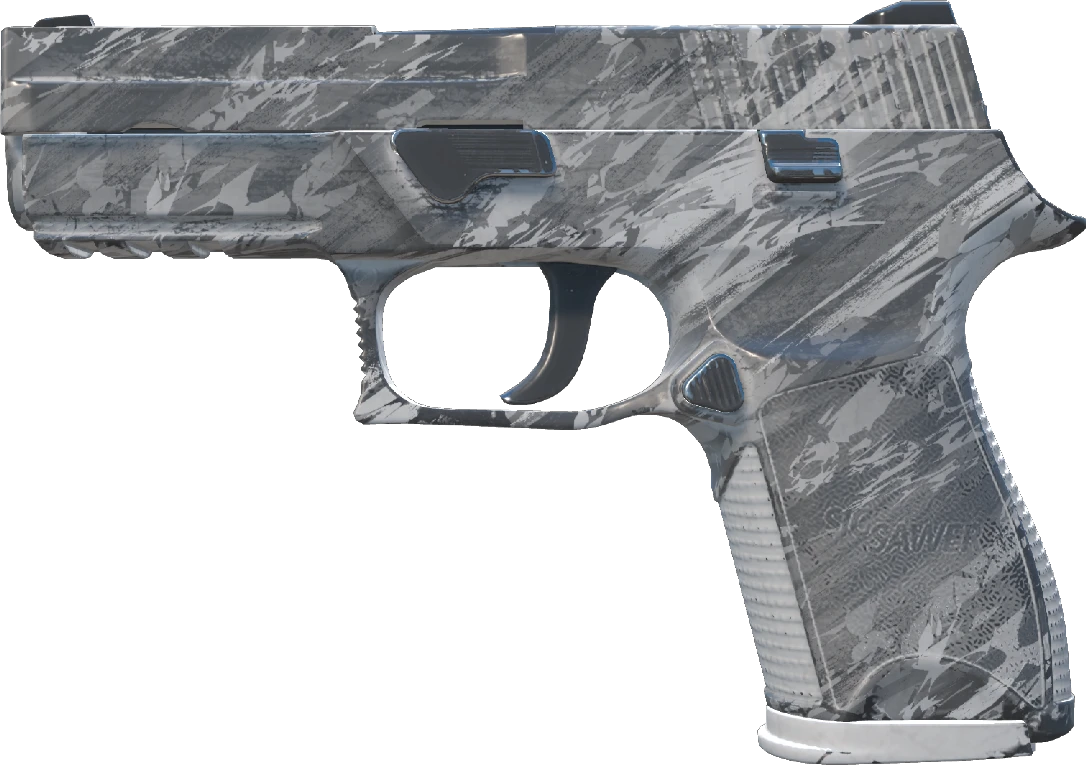 P250 | Sleet