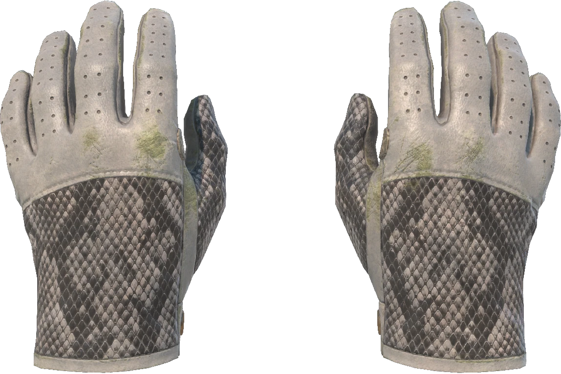 ★ Driver Gloves | King Snake