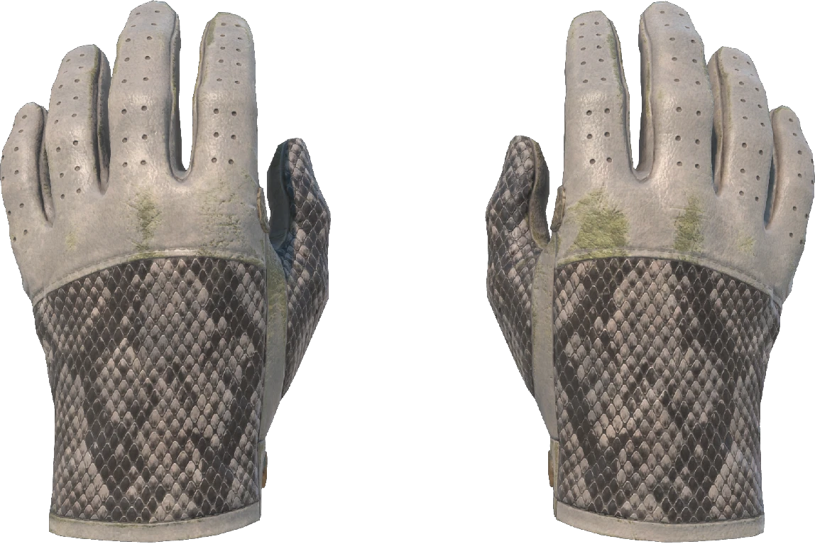 ★ Driver Gloves | King Snake