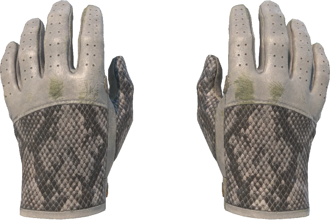 ★ Driver Gloves | King Snake