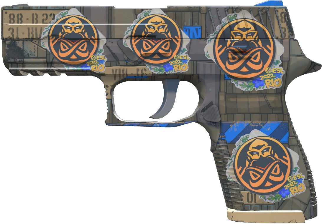 P250 | Exchanger