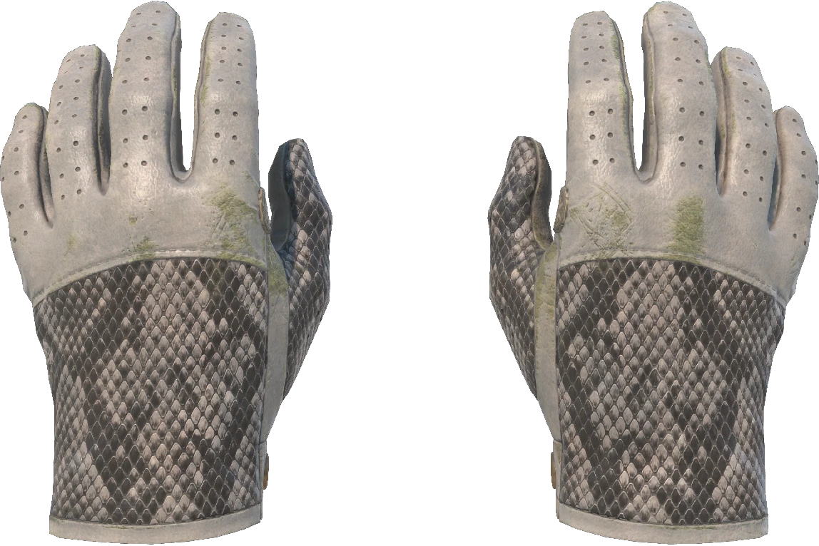 ★ Driver Gloves | King Snake