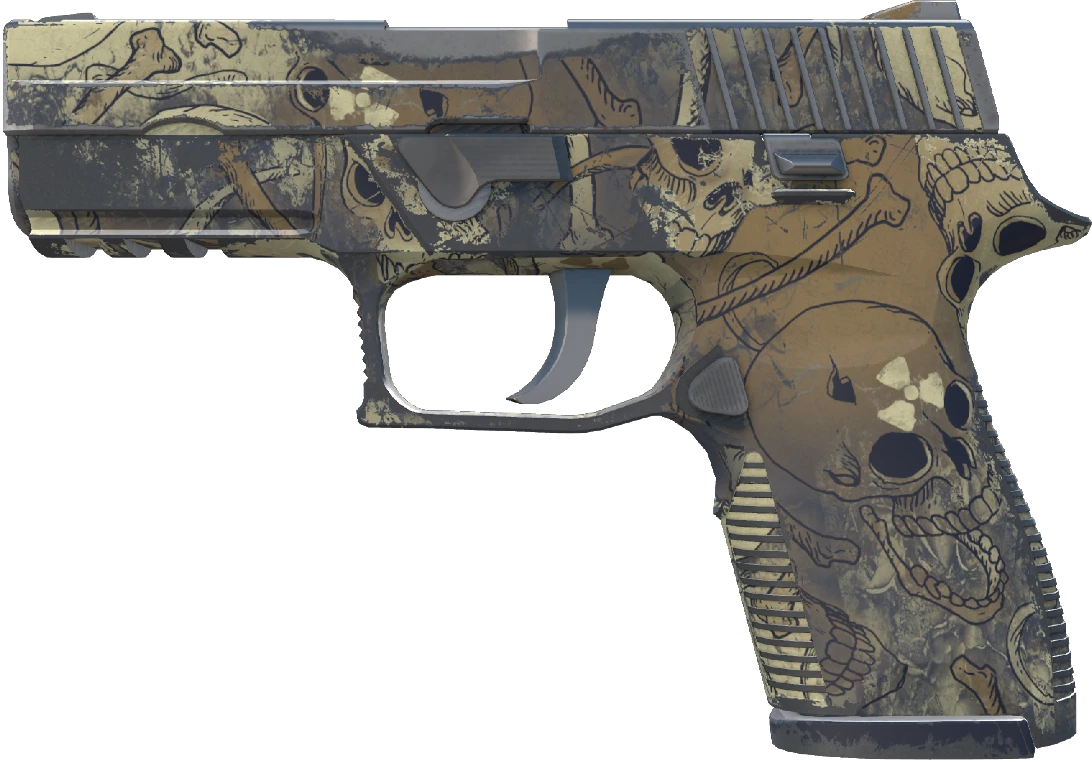 P250 | Contamination