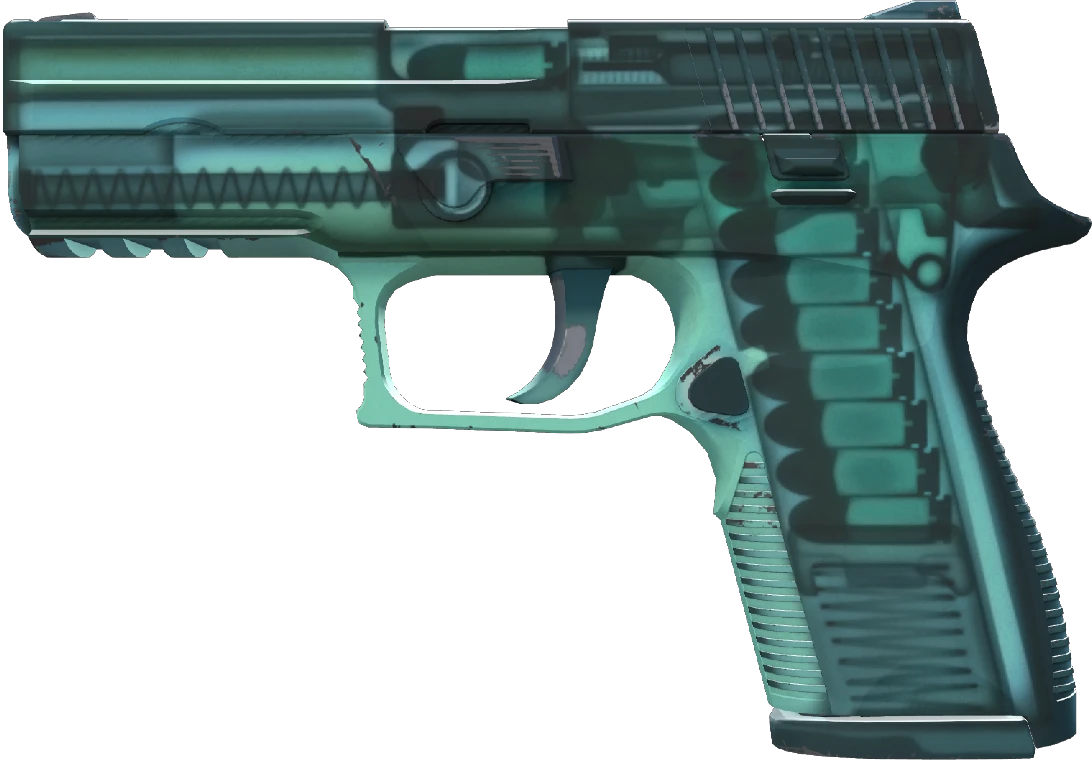 P250 | X-Ray