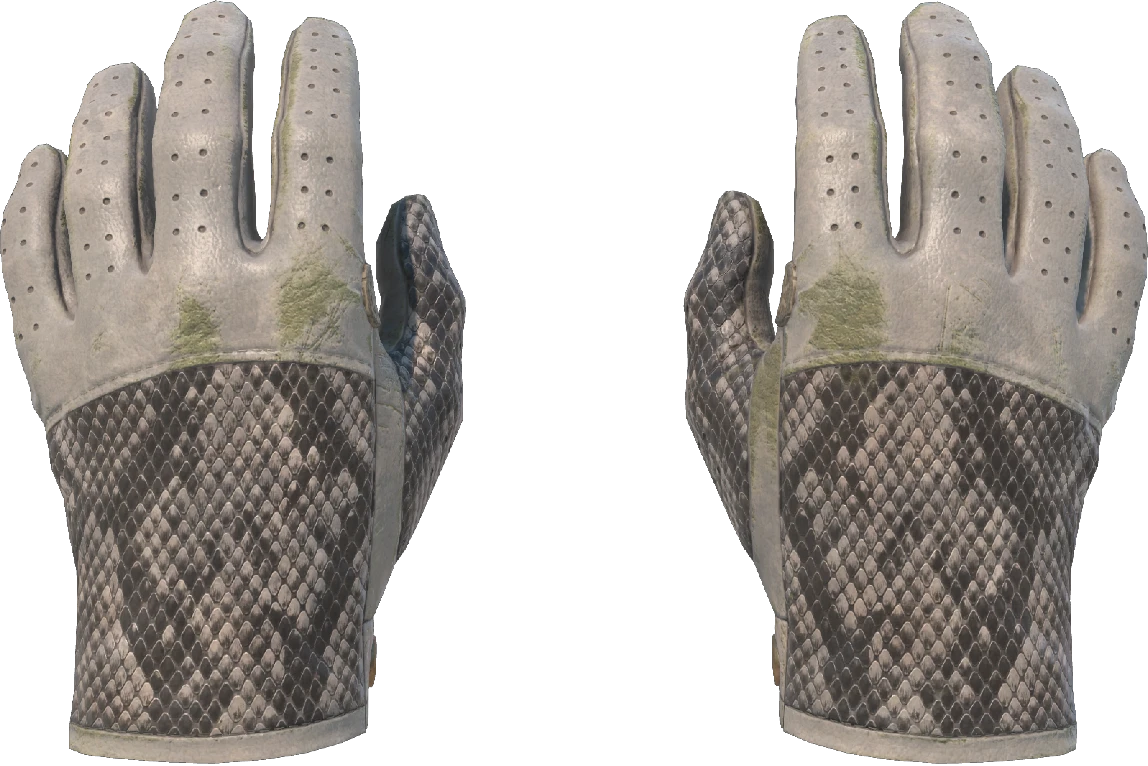 ★ Driver Gloves | King Snake