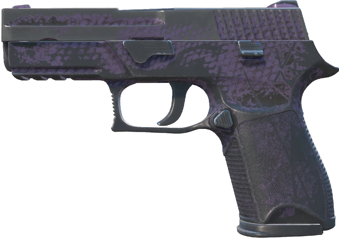 P250 | Plum Netting