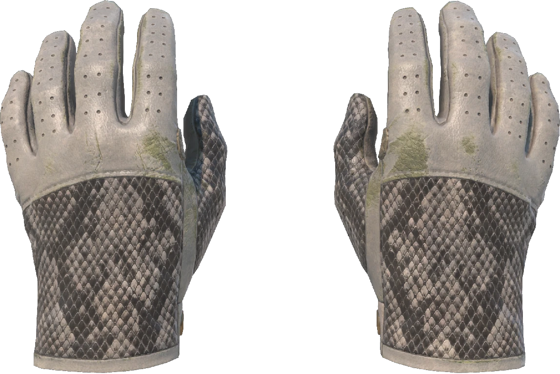 ★ Driver Gloves | King Snake