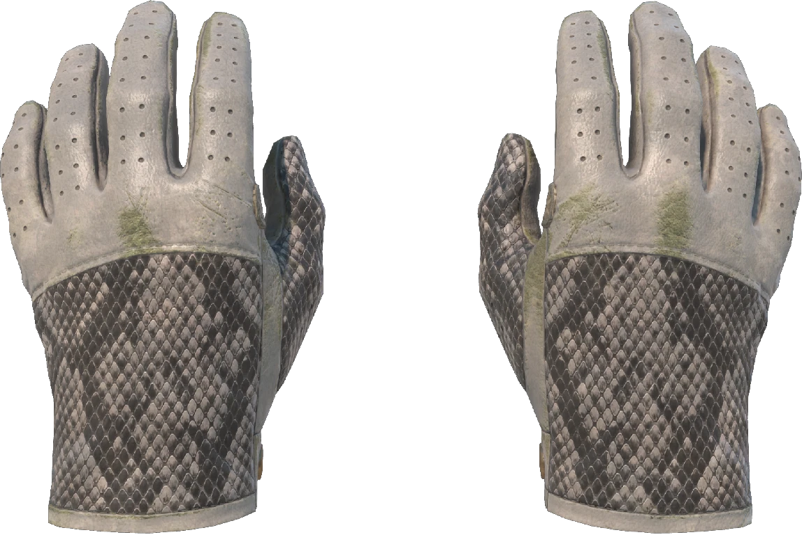 ★ Driver Gloves | King Snake