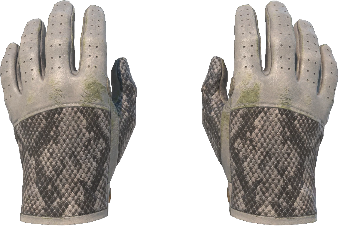 ★ Driver Gloves | King Snake