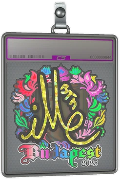 Sticker Slab | iM (Holo) | Budapest 2025