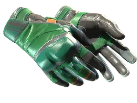 ★ Moto Gloves | Turtle