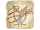 Sticker | bodyy | Austin 2025