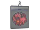 Sticker Slab | Manticore
