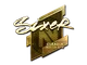 Sticker | SIXER (Gold) | Boston 2018